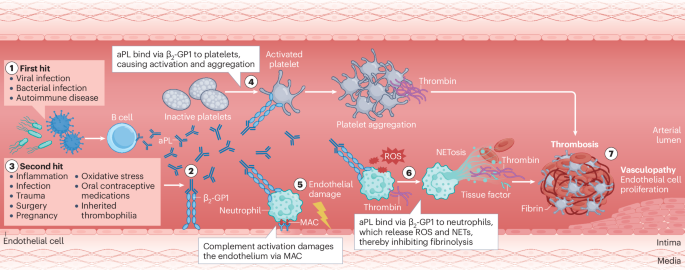 Nature Reviews Cardiology tweet media