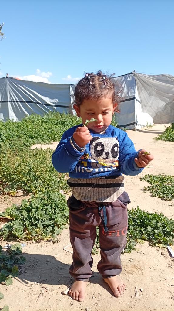 ahmed ziad🔻🍉🇵🇸 tweet media