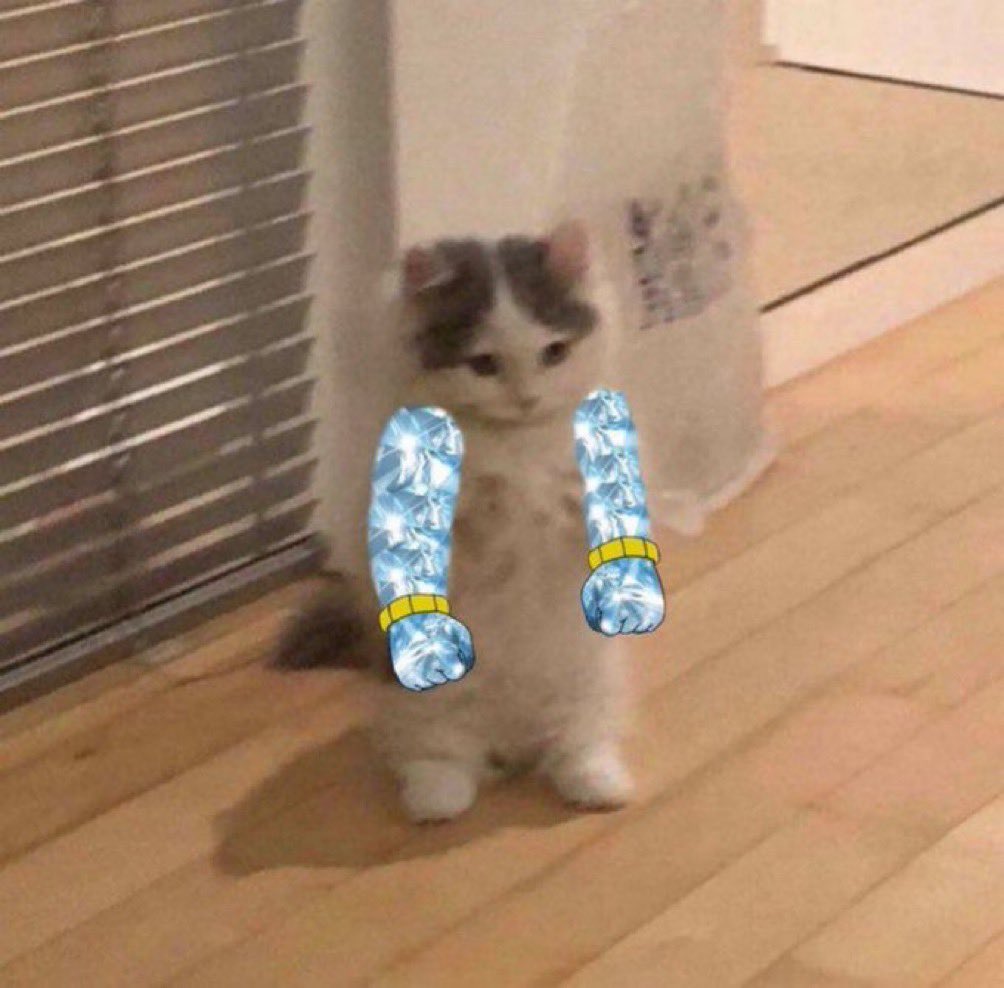 wolf 🐺 tweet media