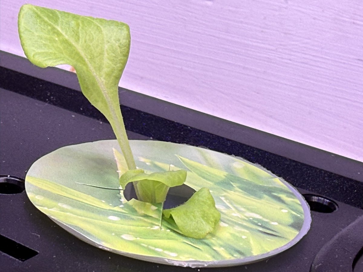 Kev Moore tweet media