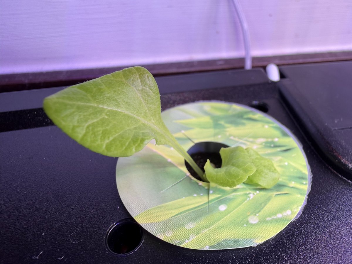 Kev Moore tweet media