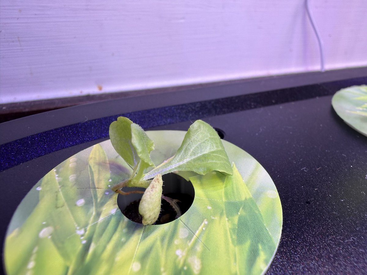 Kev Moore tweet media