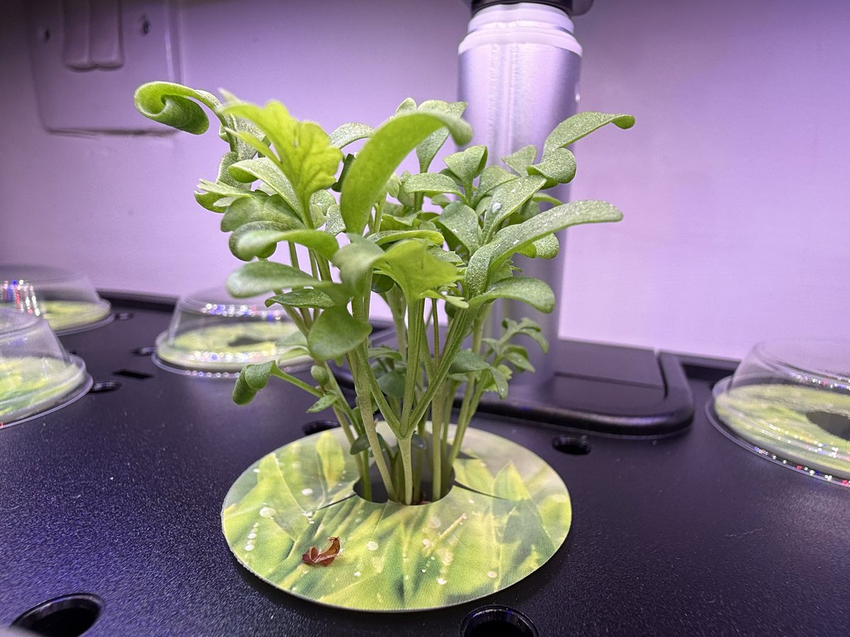 Kev Moore tweet media