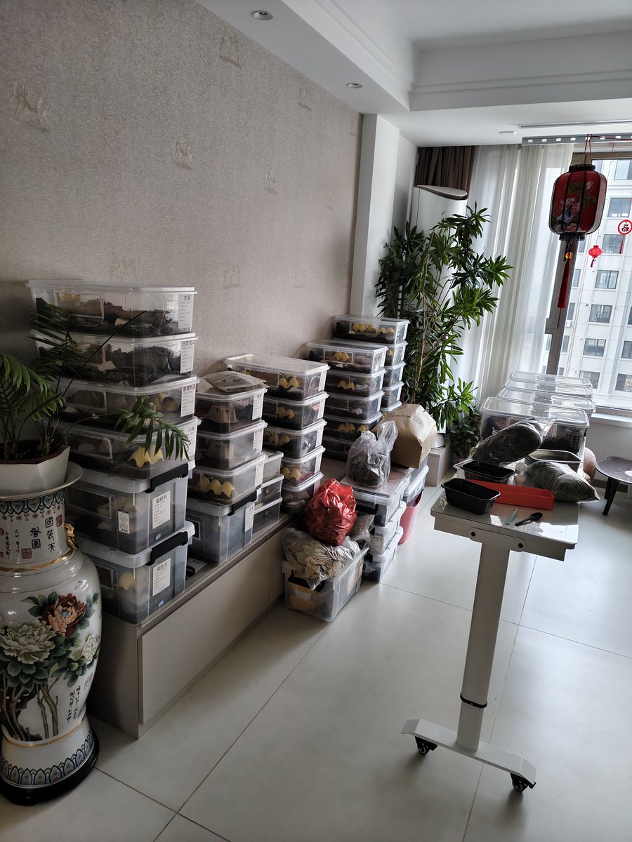 开挂的熊 tweet media