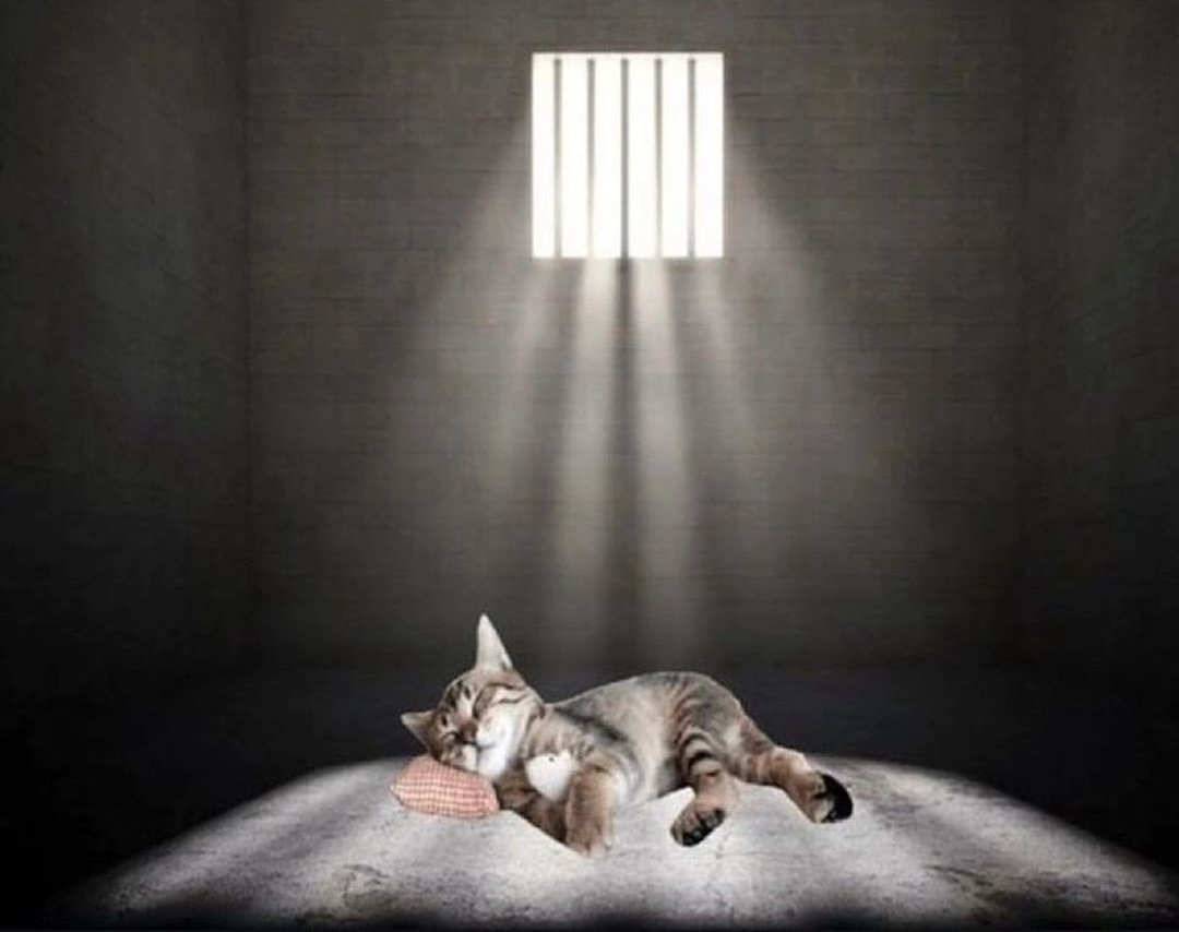 If being eepy was a crime: