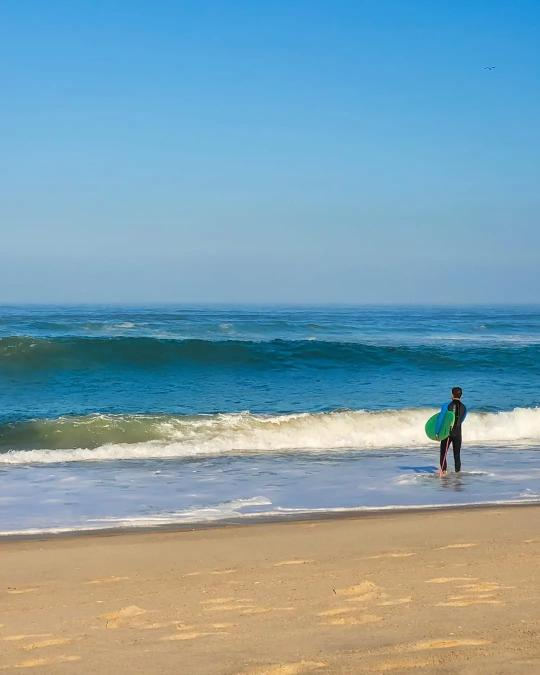 Sérgio Ribeiro tweet media