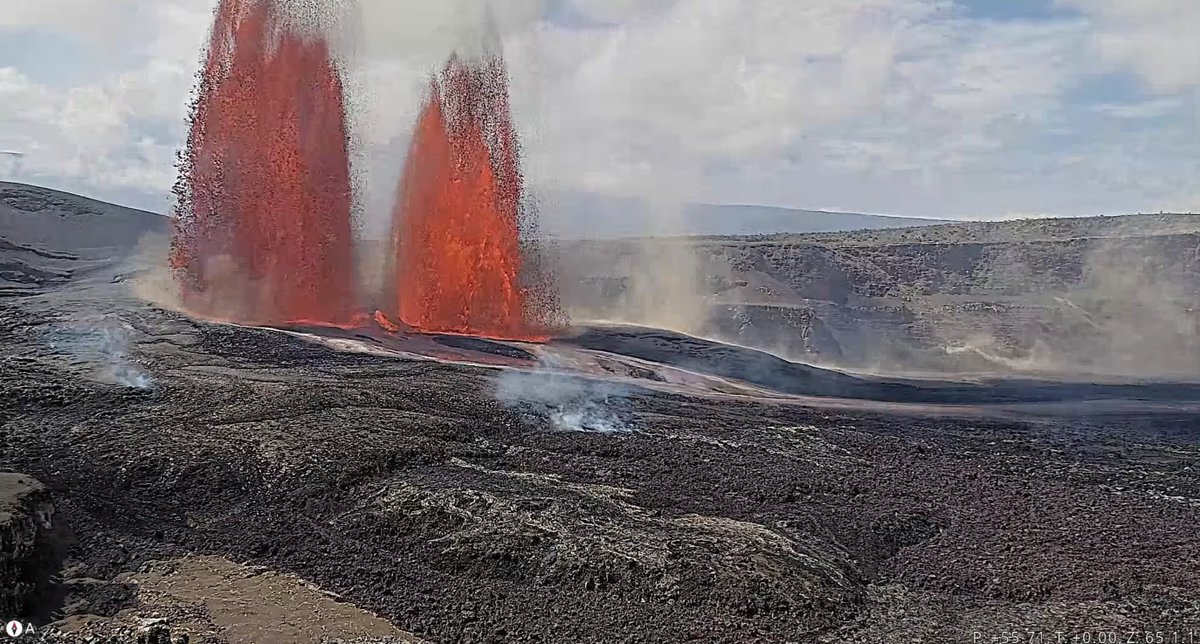 Dr John Seach tweet media