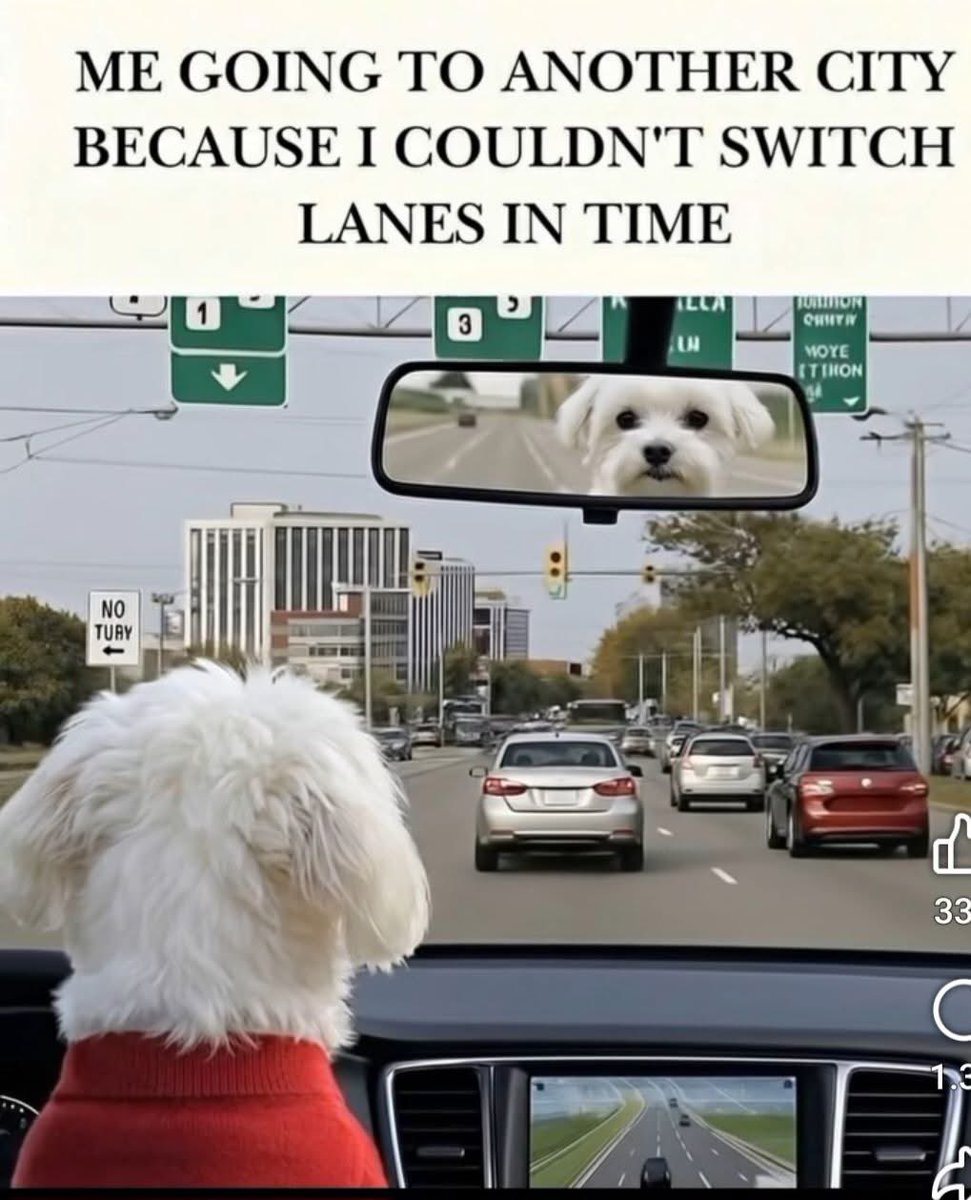 🙏🇺🇸𝑮𝒐𝒅 𝑩𝒍𝒆𝒔𝒔 𝑨𝒎𝒆𝒓𝒊𝒄𝒂🇺🇸🙏 tweet media