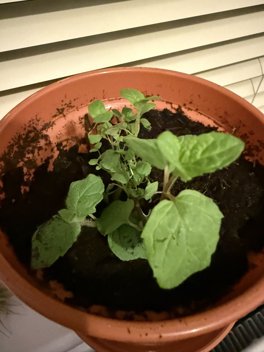 Kev Moore tweet media