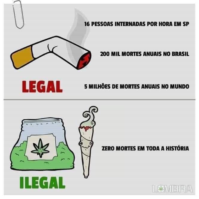 Cannabis Brasil (@canabisbrasil) on Twitter photo 