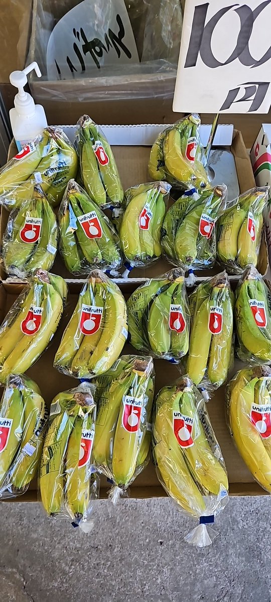 おはようございます😄
今日は東日本大震災から15年😅
あの時の事が思い浮かびますね😅
テレビに釘付けになってこれは大変だと心の中で泣いてました🥲
昨日はホワイトデーなのか苺🍓が完売して新しいの入荷しております😆
有田のはるみが1山350円
旨いです😚
今日も果物主体でやってます😄
よろしく😃✌