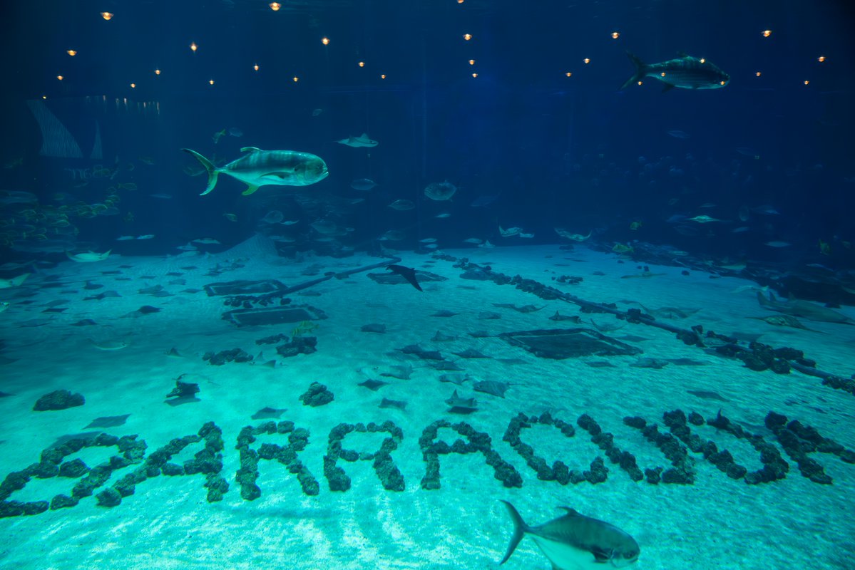 Barracuda Networks tweet media