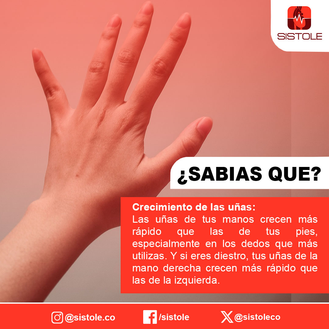 Sistoleco's tweet photo. ¿SABÍAS QUÉ?:
Conoce como #funciona el #crecimiento de tus #uñas 💅💅🖖💪🙏🤲👐 en tu 🫵🫵🫵 #cuerpo #humano que nos ayuda a estar muy #sanos y mantener despierto🥰☺️🙃😁😄😃.
Visita nuestra plataforma ❤️🔥💪
AQUÍ 👉👉: https://t.co/LWcOGYBVmA https://t.co/mJ8jX4HKV4
