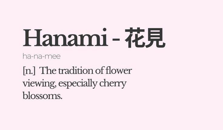 ♪⃣ 𓈒 ݁ 𓏲𝄢 tweet media