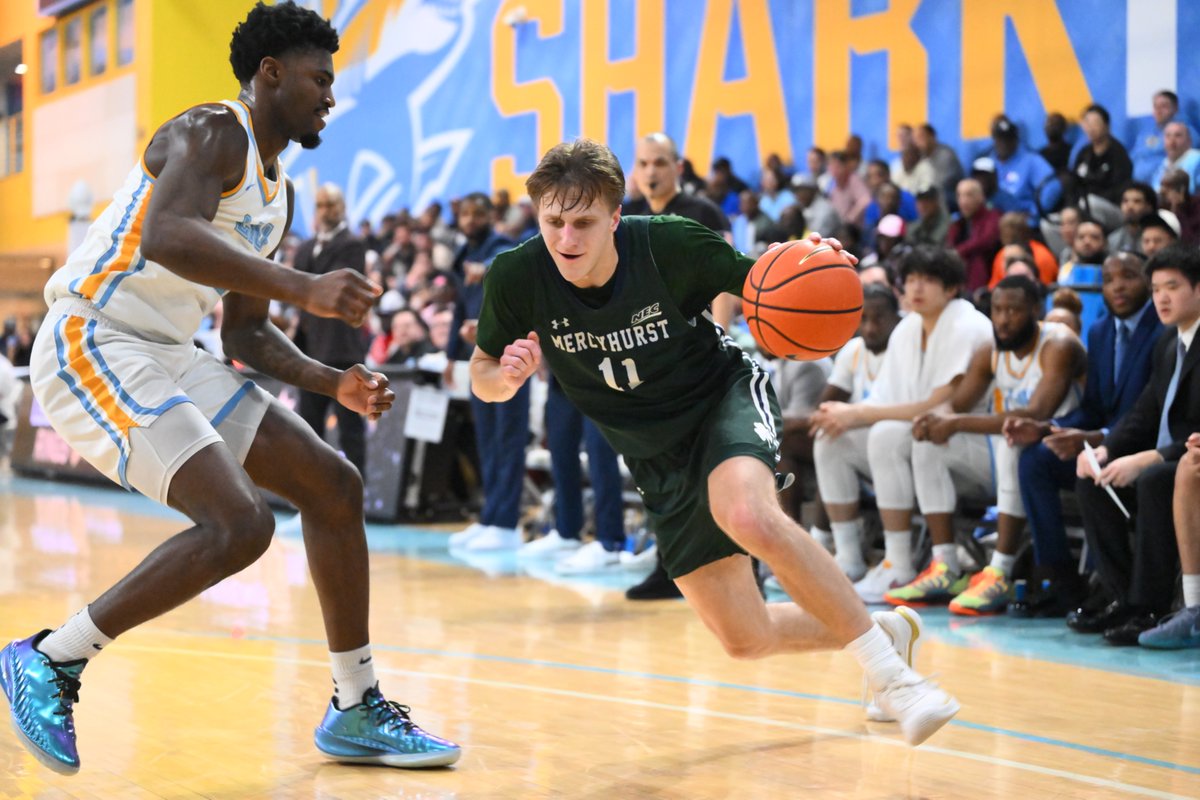 NEC Hoops tweet media