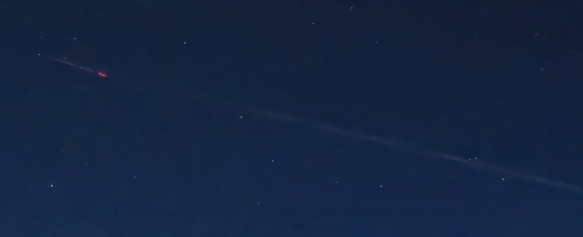 Phillip Davis tweet media