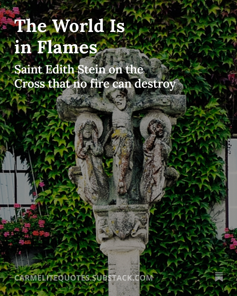 carmelitequotes's tweet image. 🔥 The world is in flames. 

In 1939, as war began in Europe, Saint Edith Stein wrote this meditation for the renewal of vows at the Carmel of Echt. She points to the Cross that no fire can destroy.

🔗 twp.ai/4ivxsW

#EdithStein #Lent #TheCross