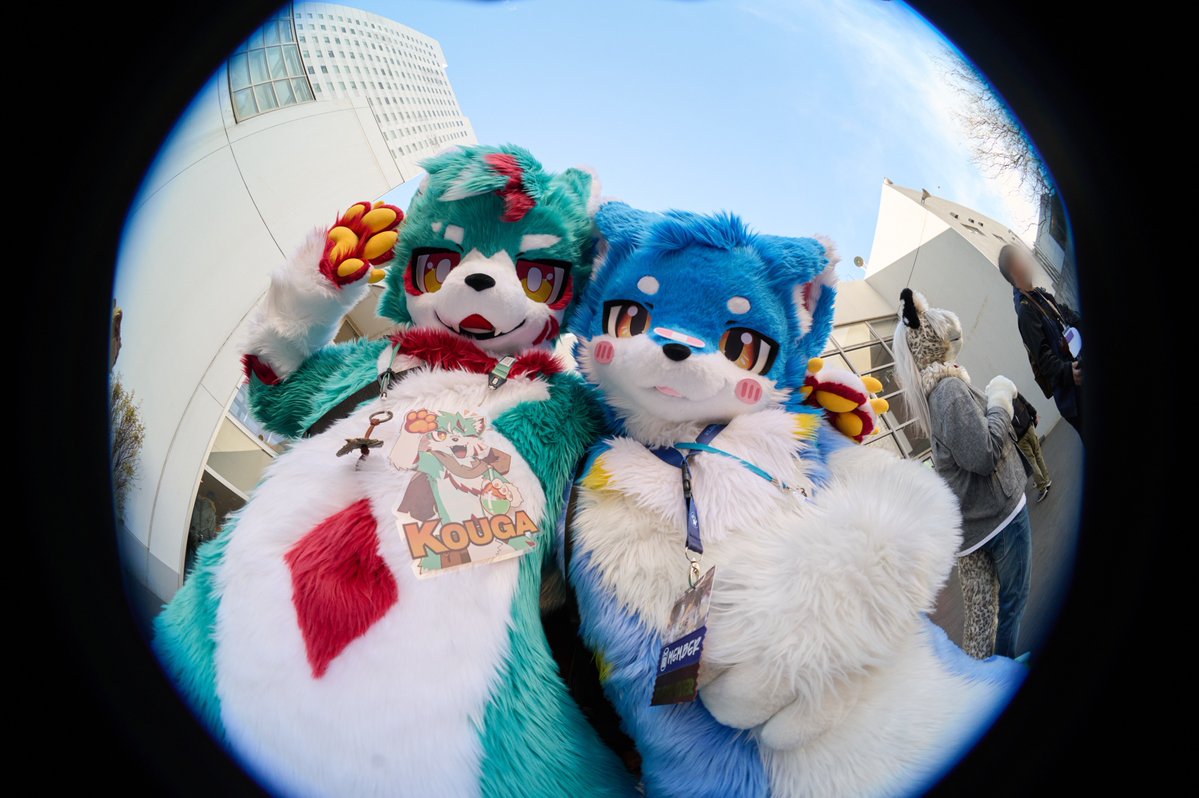 코우가🧪 tweet media