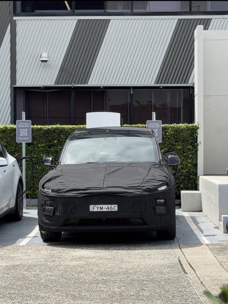 Tsla Chan tweet media