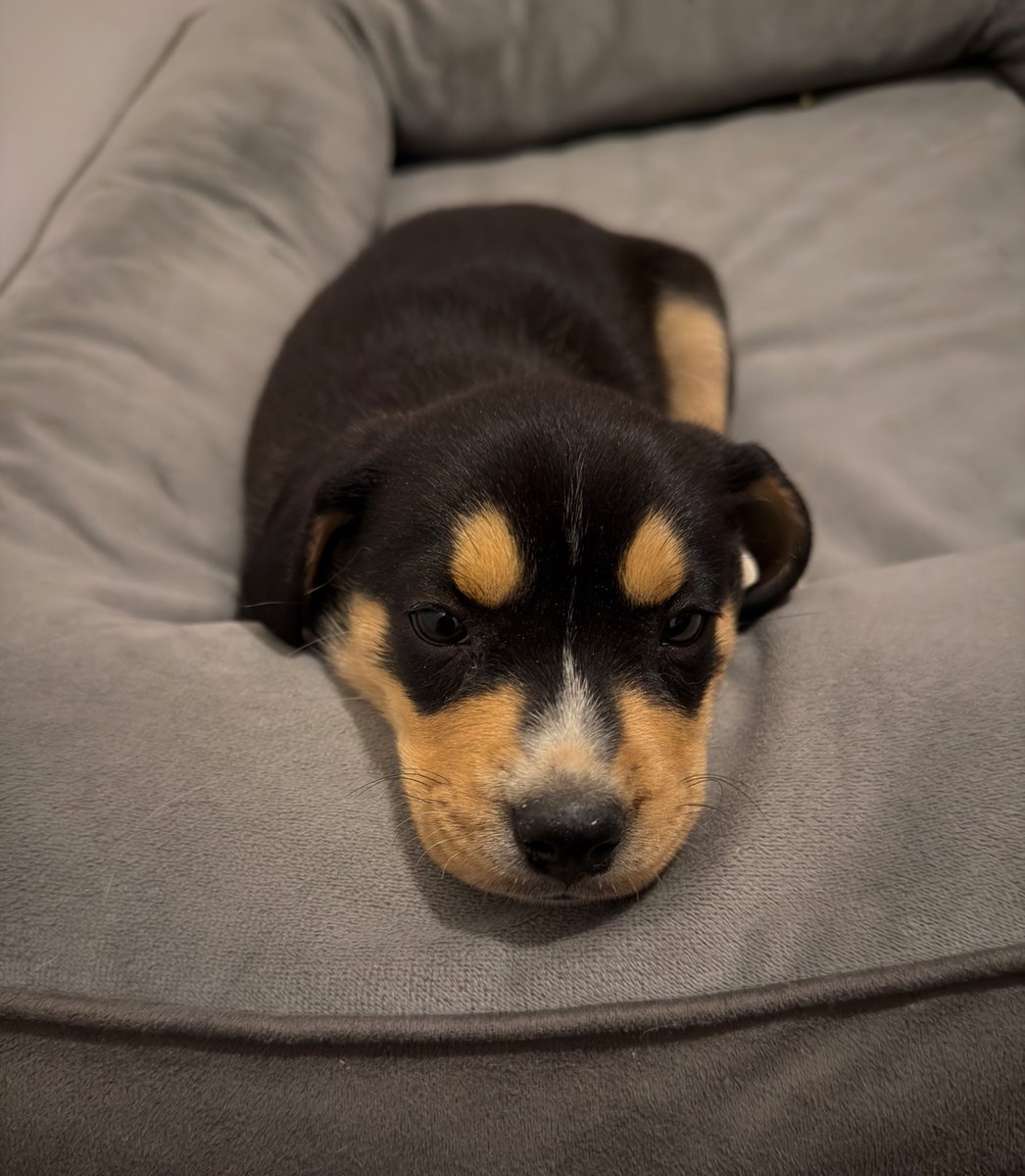 MR. WASHED tweet media