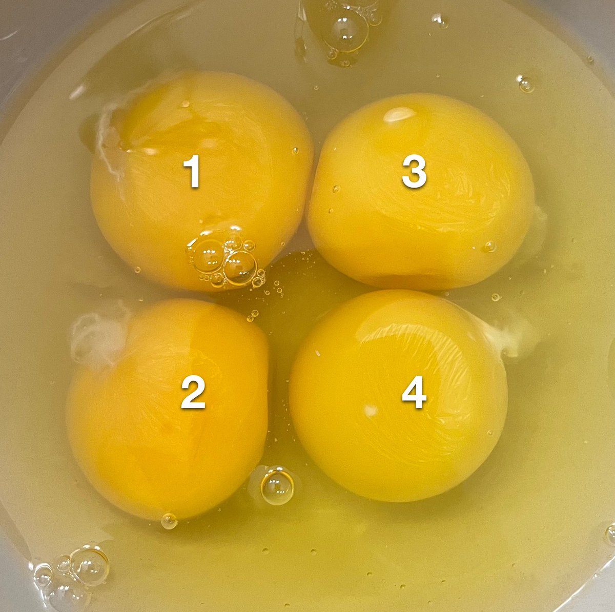 Disc Golf Guru tweet media