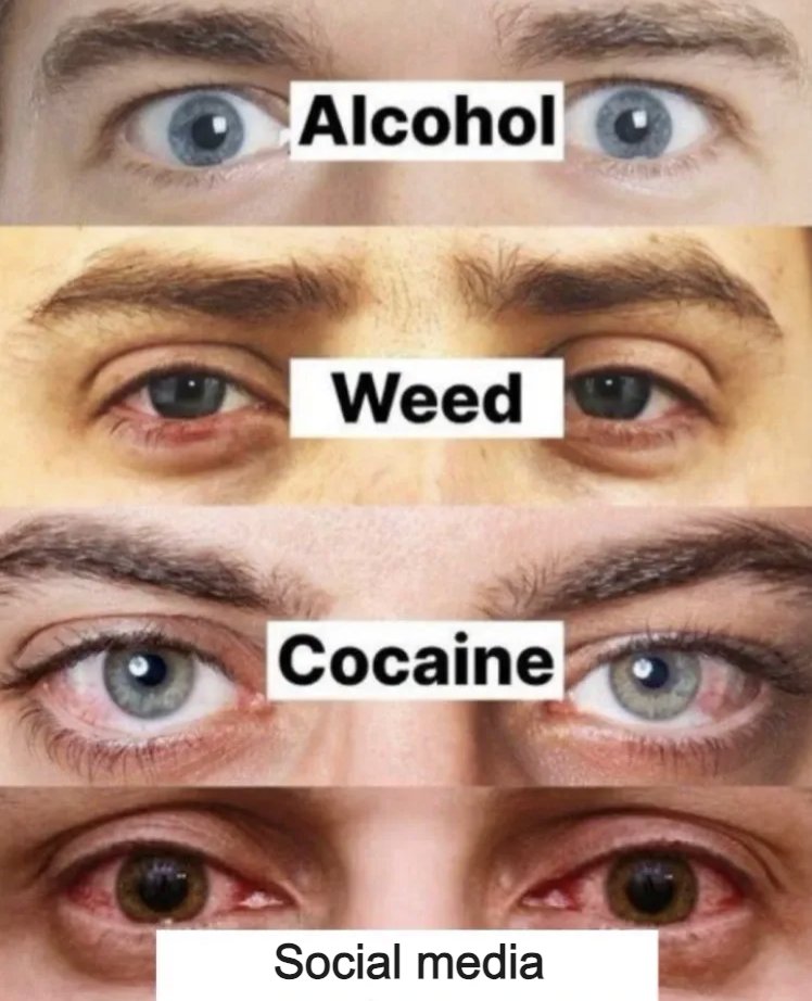 Bryan Johnson tweet media