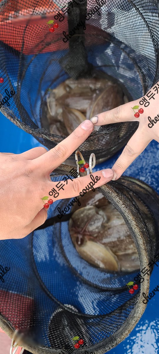 앵두네 tweet media