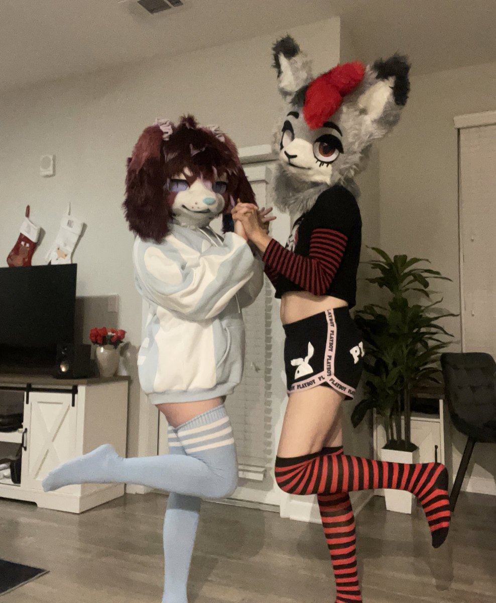 Sr. Bagel 🔜 FL tweet media