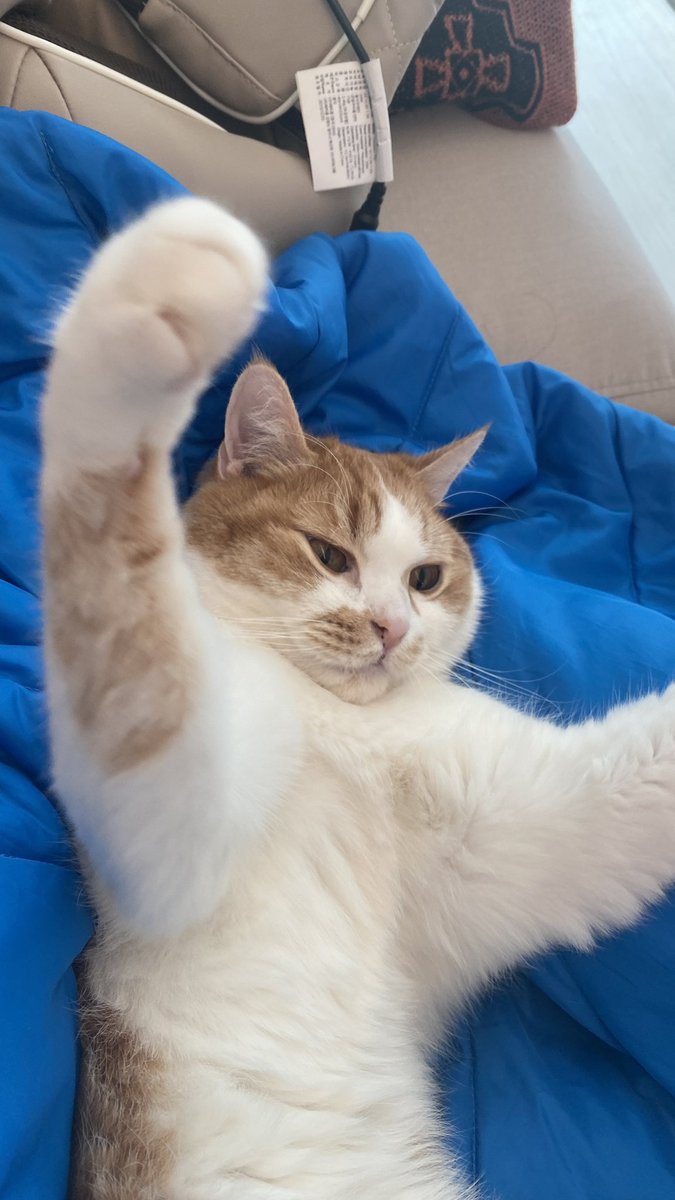 순대만 주세요 tweet media