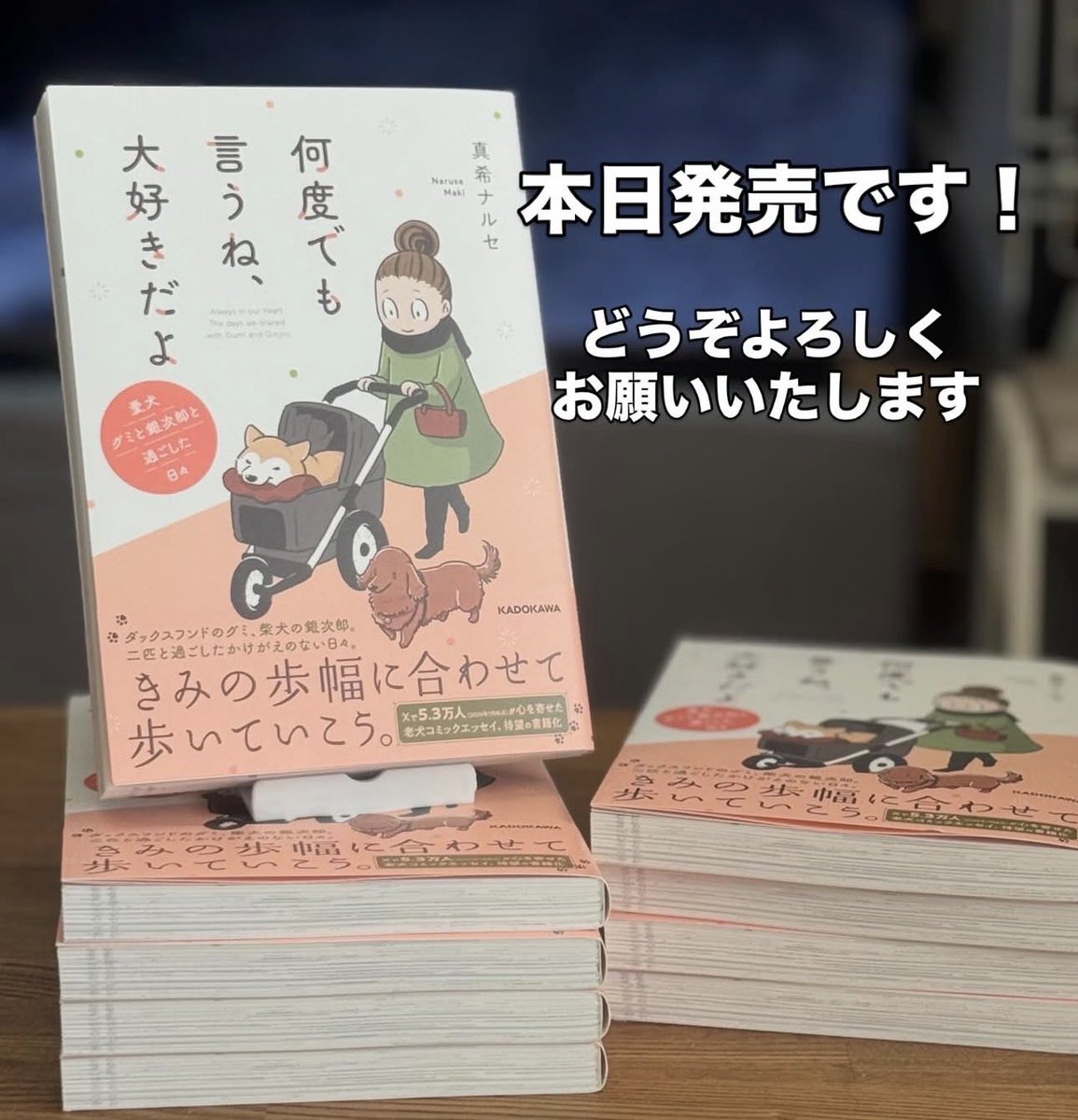 gin2rou's tweet photo. 本日発売！

『何度でも言うね、大好きだよ　愛犬グミと銀次郎と過ごした日々』
作.真希ナルセ

全国書店様、各書籍販売サイトにてお買い求めください。
どうぞよろしくお願いいたします🙇‍♀️

・Amazonストア
（プロフィールに予約のリンクあります📕）
https://t.co/Tx7n2y8o6G
・楽天ブックス
https://t.co/au76hAaE5e
・KADOKAWA
https://t.co/L0aKOvofm7