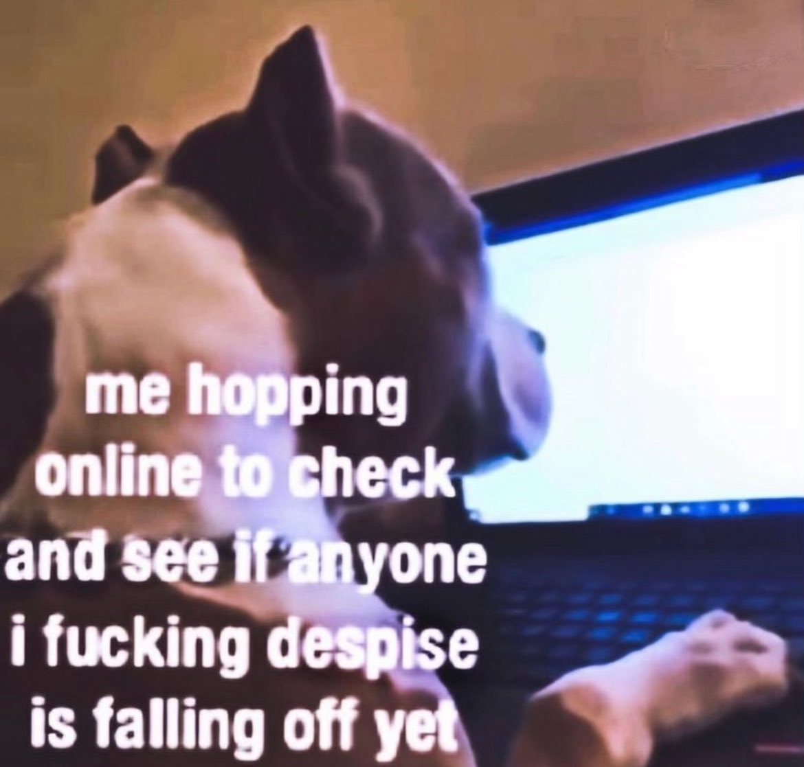 allison harvard burke tweet media