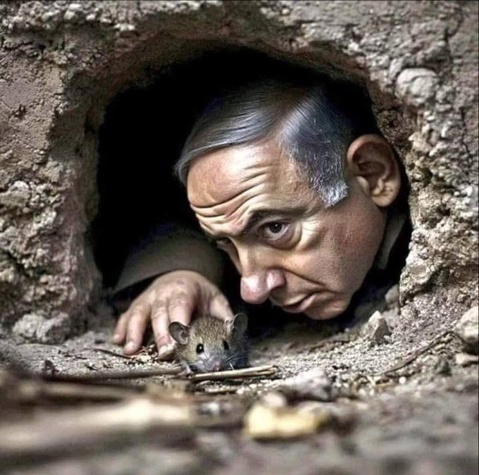 kapali_mahkuma's tweet photo. Neredesin Netanyahu?
Füzeler gökyüzünde, sen ortalarda yoksun… 👀🚀

#iran #telavivyanıyor Netanyahu https://t.co/WehHVE0XTQ