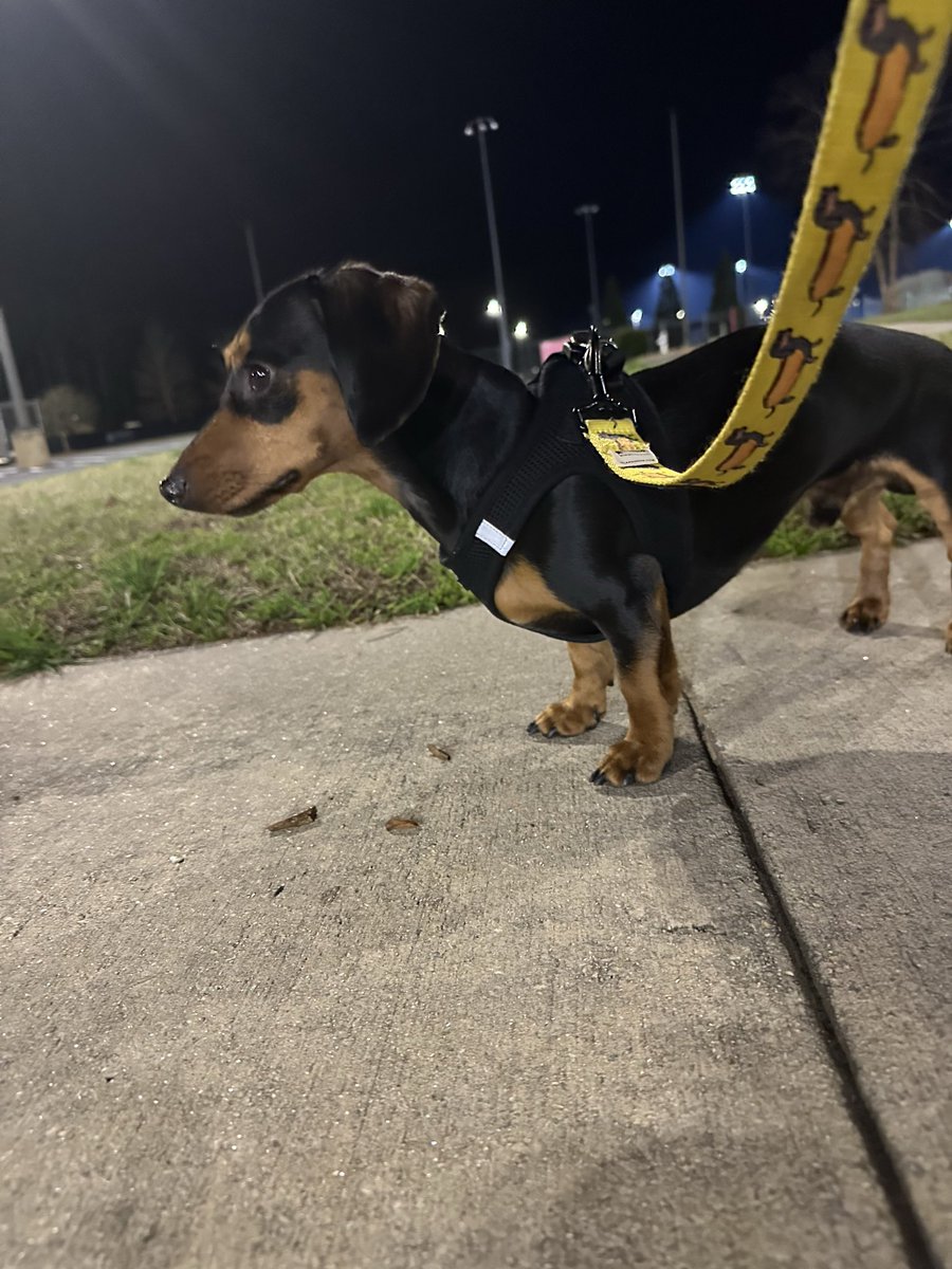 Breanna Black tweet media