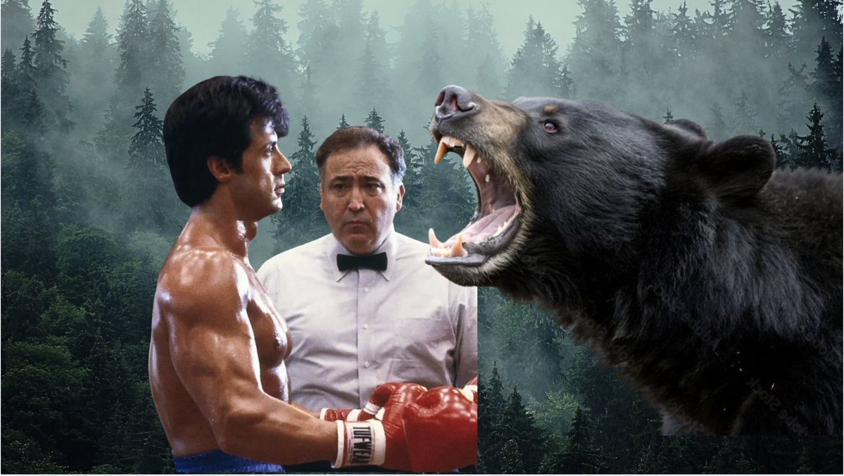 Jon Finkel📚💪 tweet media