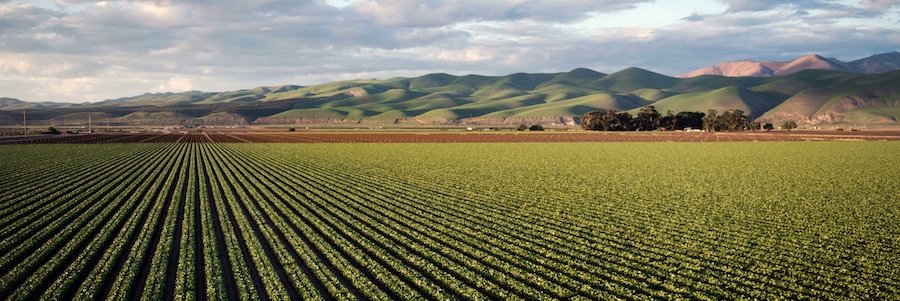 CentralValleyFood tweet media