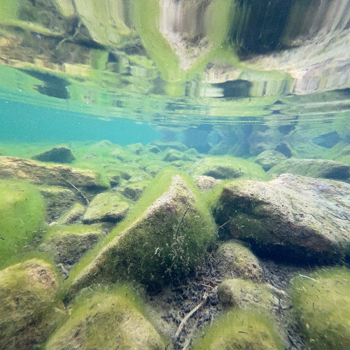 ᅟ­­­ tweet media