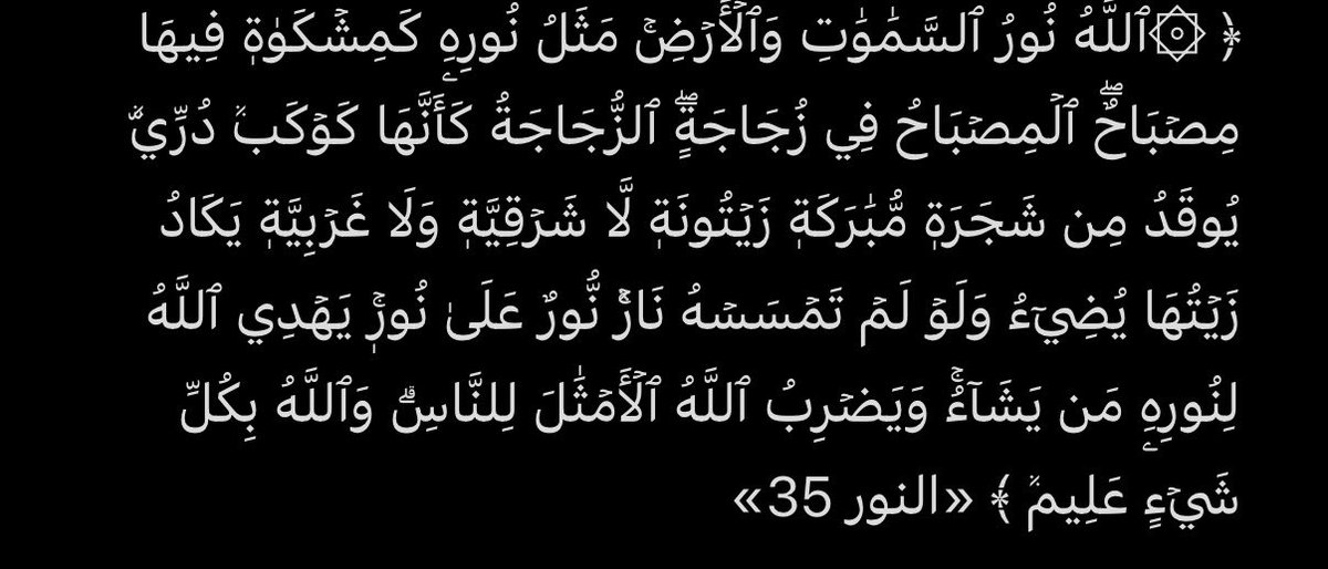 ماجد tweet media