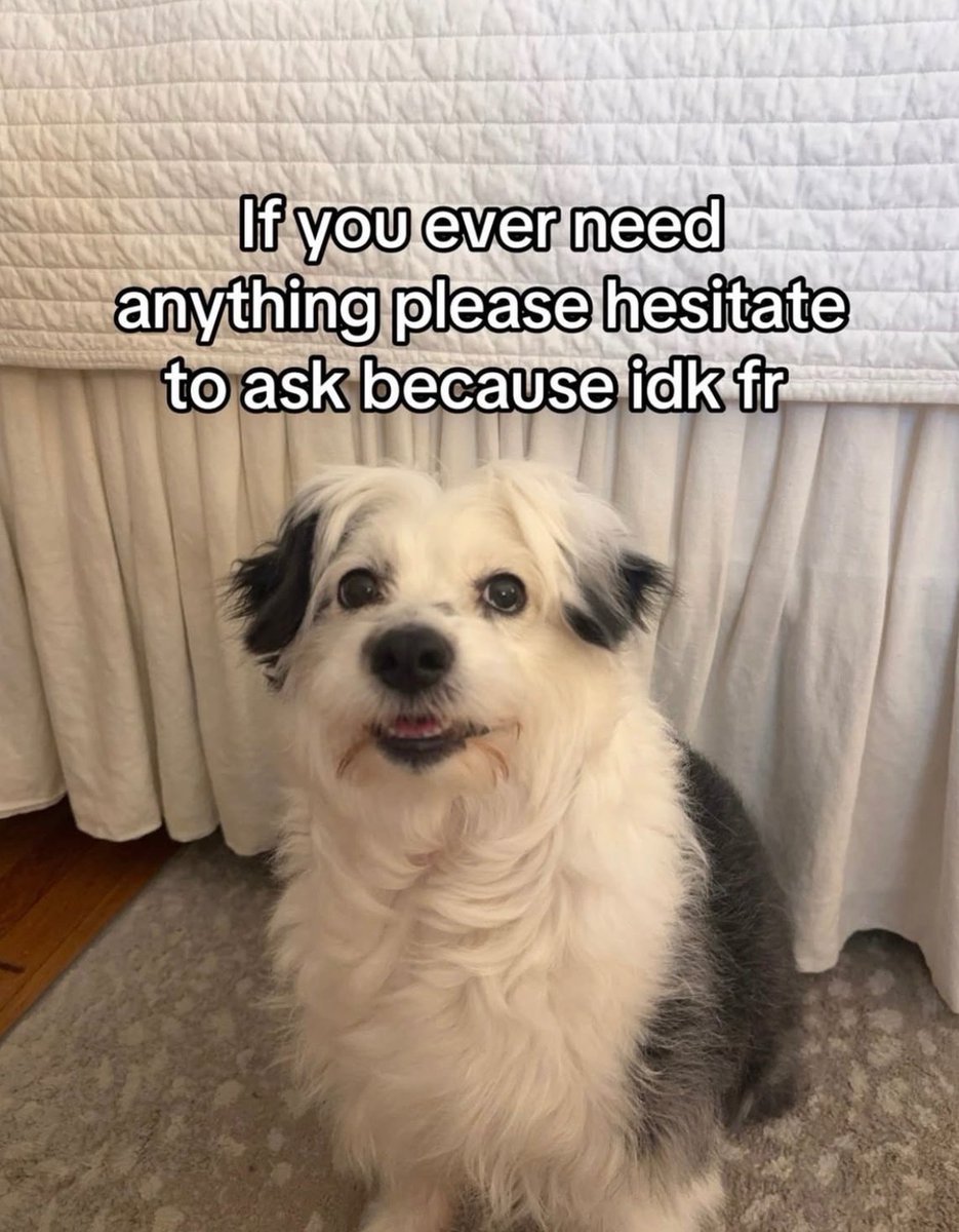 RespectfulMemes's tweet photo. https://t.co/W74SWiAyyI