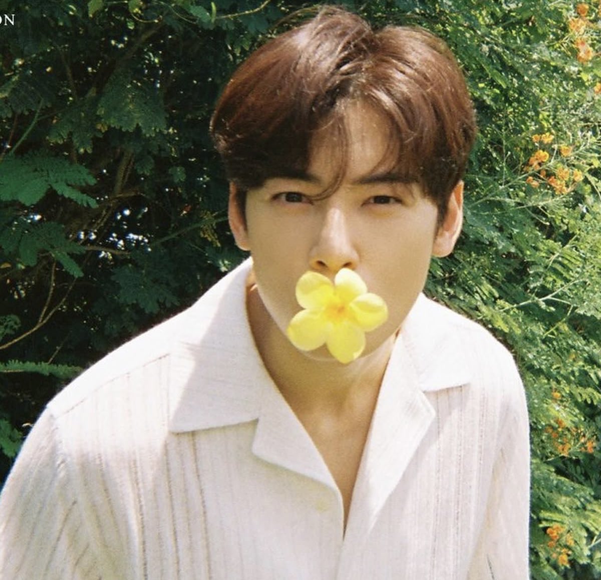 eunwoo gallery tweet media