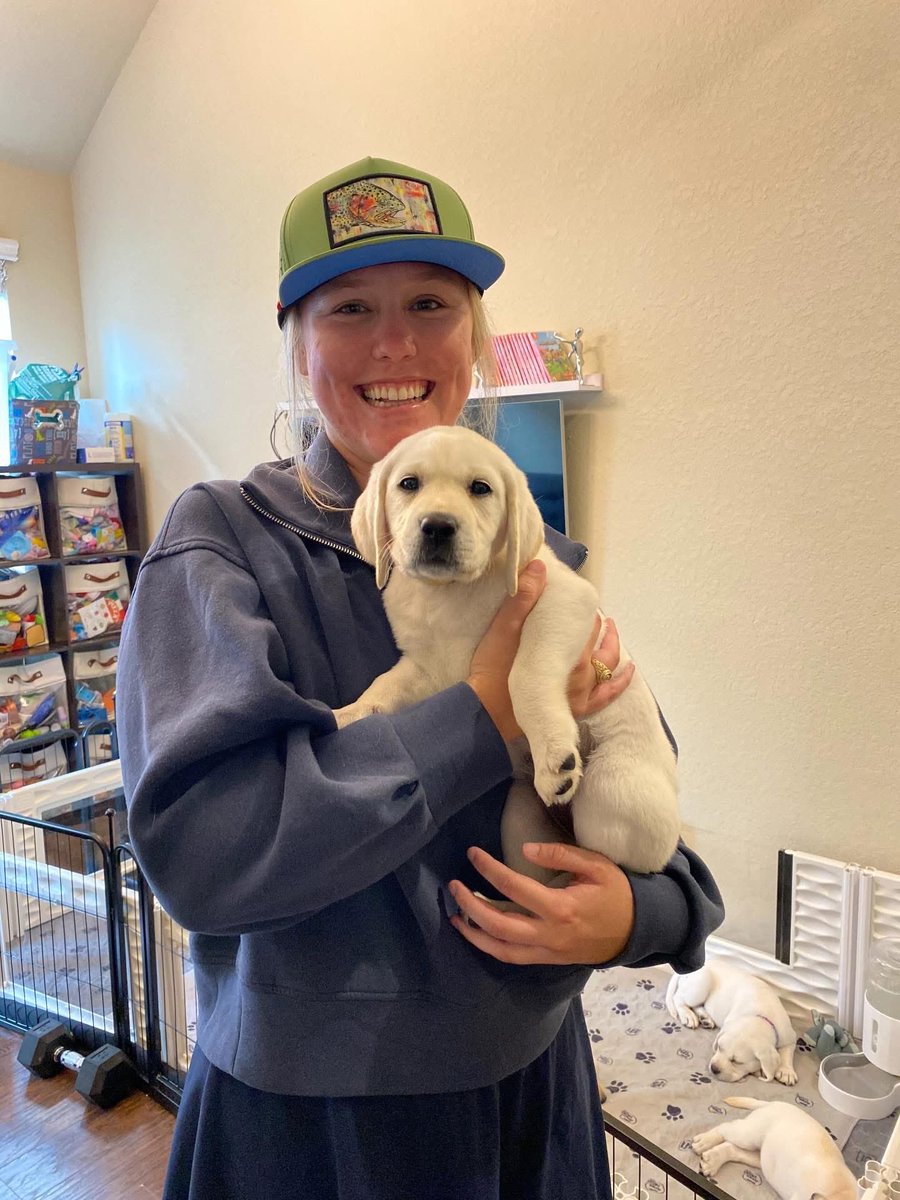 AlphaLabs247's tweet photo. Today was go-home weekend for our puppies here at Alpha English Labs and it was filled with so many special moments.

Puppies are ready to adopt 

@AnimaLancaster @SabaMekaZeus @FoxtrotGGs @WestCoastTireLA 
#Adopt #Englishlab #CA #family #trendings https://t.co/vAyZFZv1GP