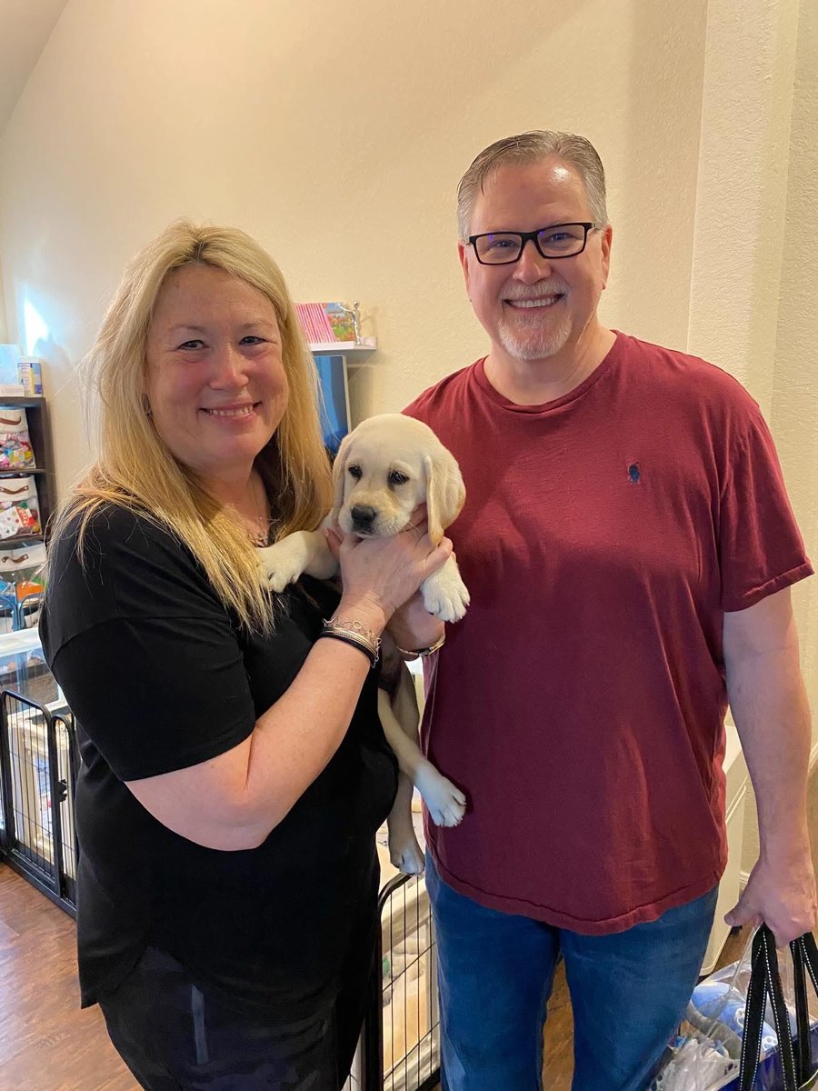 AlphaLabs247's tweet photo. Today was go-home weekend for our puppies here at Alpha English Labs and it was filled with so many special moments.

Puppies are ready to adopt 

@AnimaLancaster @SabaMekaZeus @FoxtrotGGs @WestCoastTireLA 
#Adopt #Englishlab #CA #family #trendings https://t.co/vAyZFZv1GP