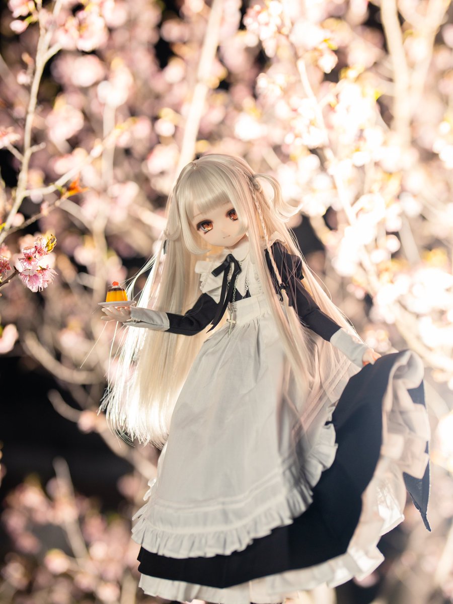 🌸
#わにわっ娘🐊