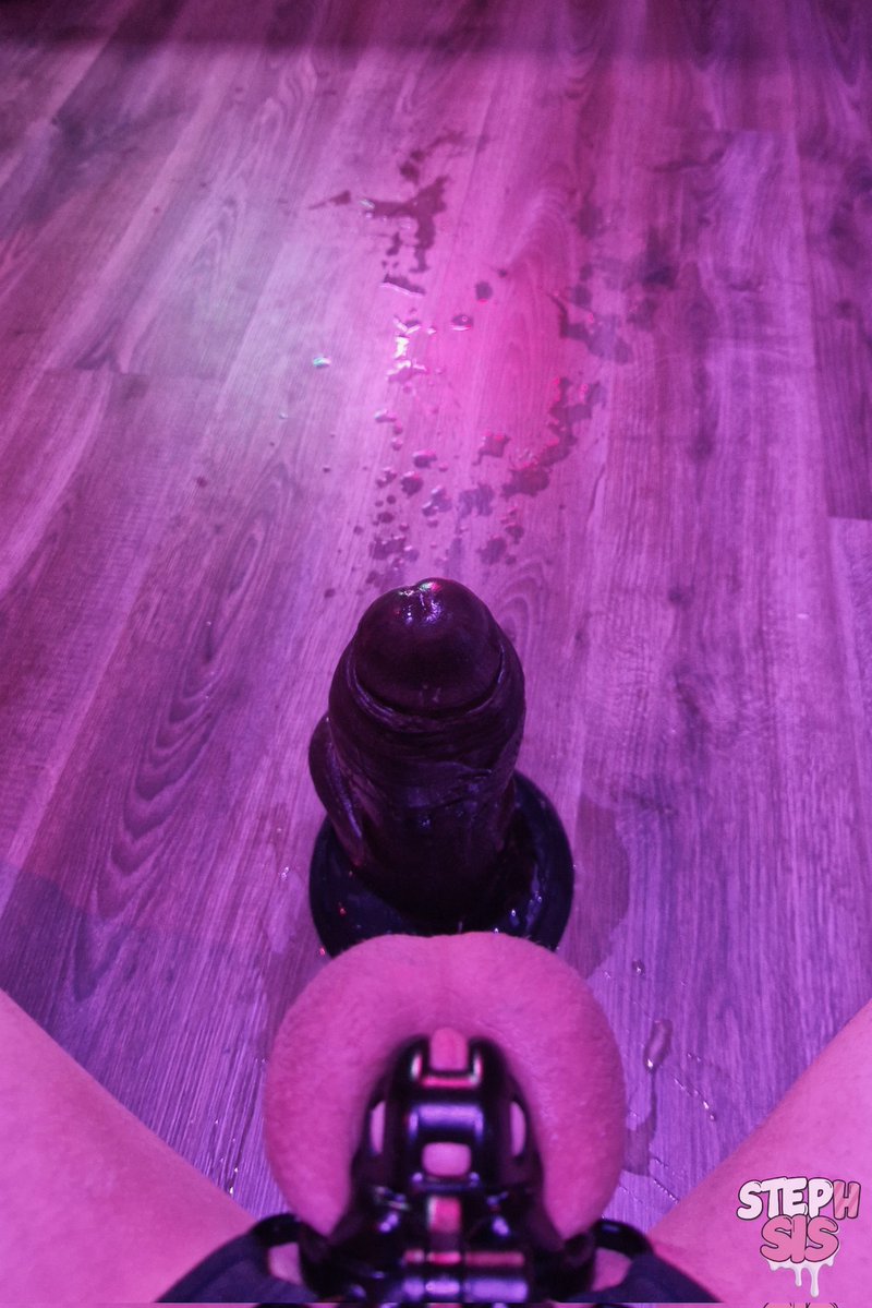 Stephanie ✨ tweet media