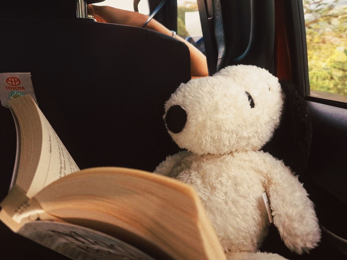 Daily Snoopy tweet media