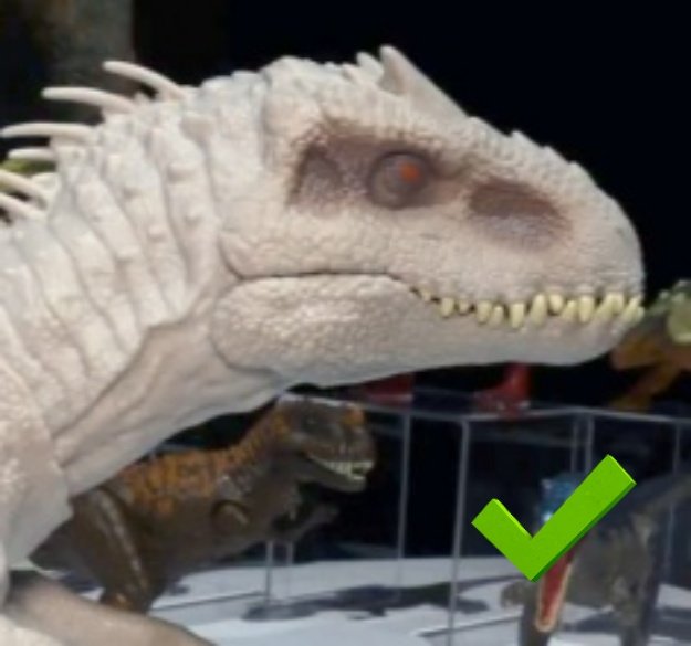 TroodonPectinodon❗ tweet media