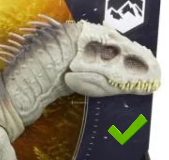 TroodonPectinodon❗ tweet media