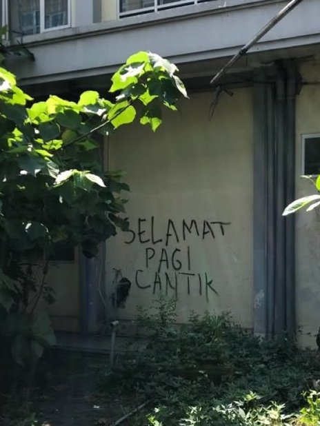mowning