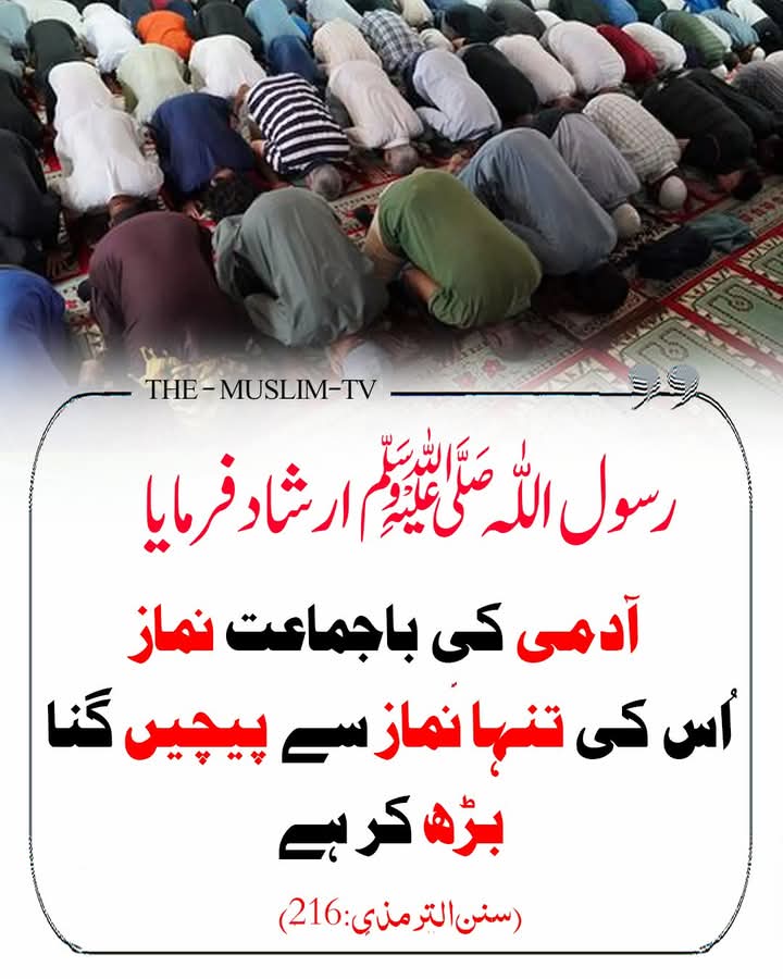 Mahwish Zafar tweet media