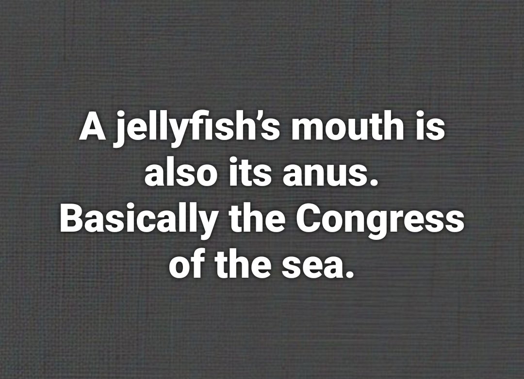 🤣