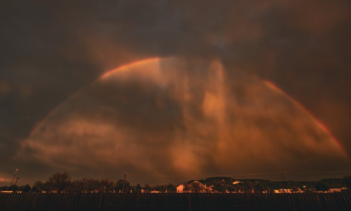 Troy Myatt tweet media